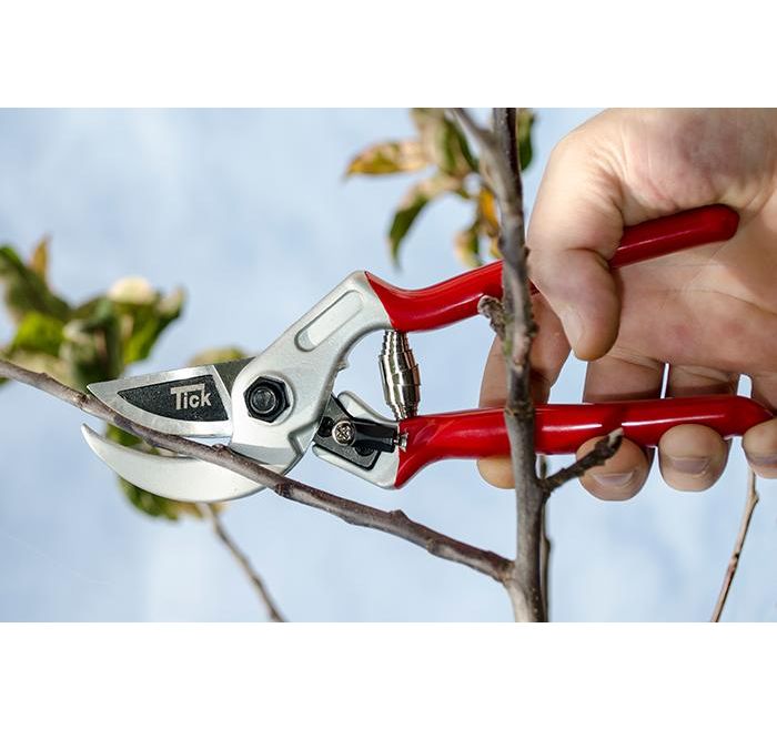 1069-dd0e3628-503ccb34