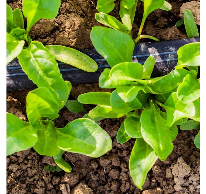 1522-352d6613-159b2c28