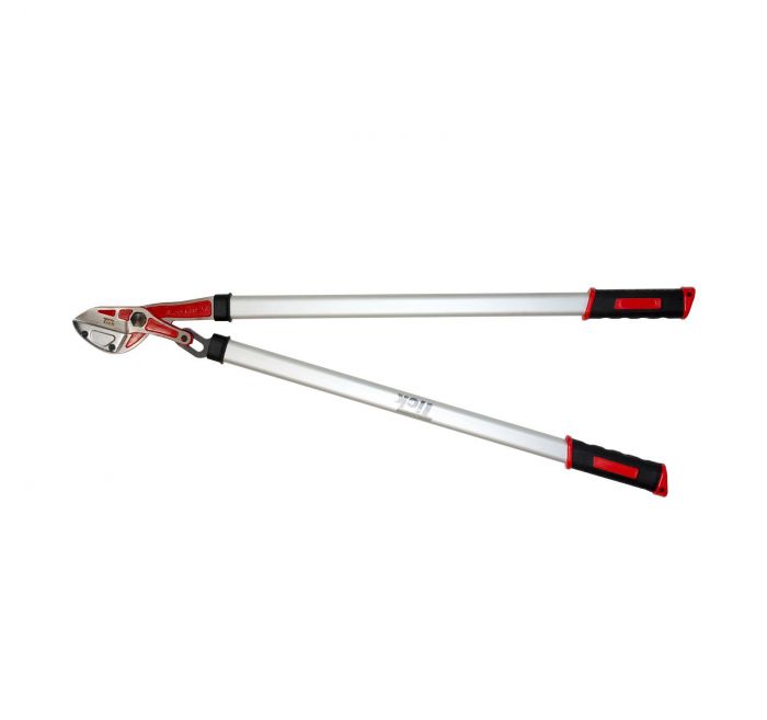 23179-d7056a0c-be723982