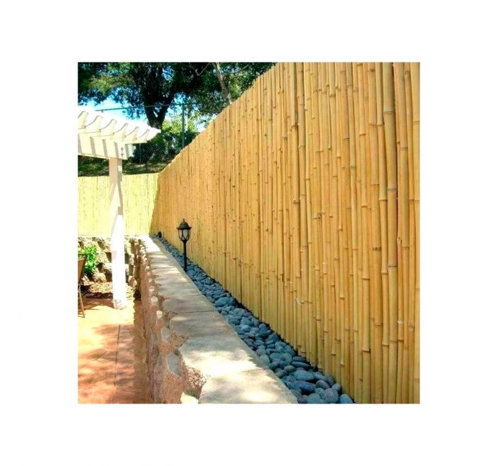 24649-d1d53106-2e2a8c16