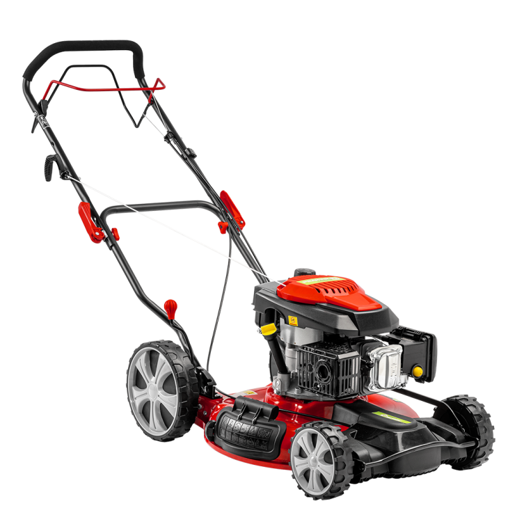 730x730_1744469653_PG_65426