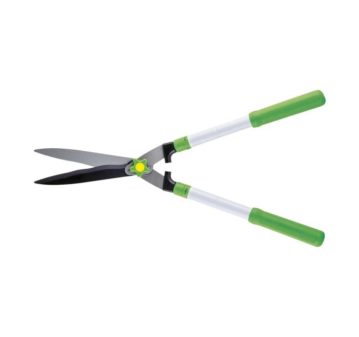 961-c824d705-e12444e5