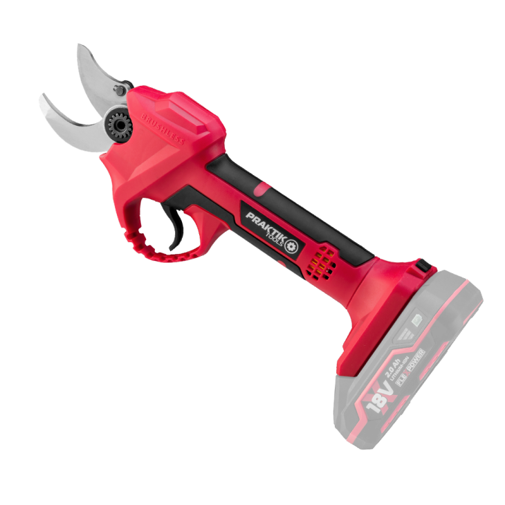 730x730_1744467454_PTQ_097