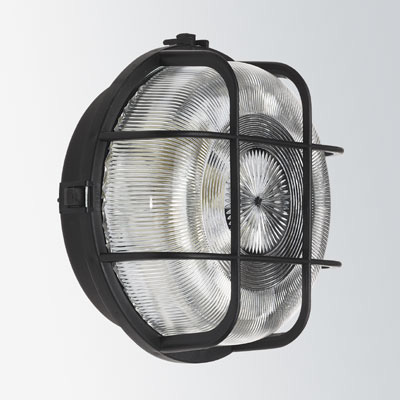Zidna/stropna svjetiljka 100W crna 66001