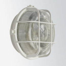 Zidna/stropna svjetiljka 100W bijela 66002