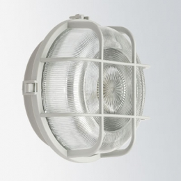 Zidna/stropna svjetiljka 100W siva 66003